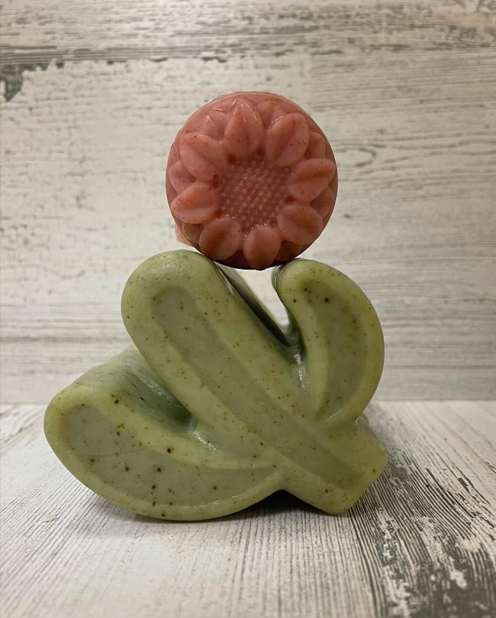 Arizona Decorative Soaps