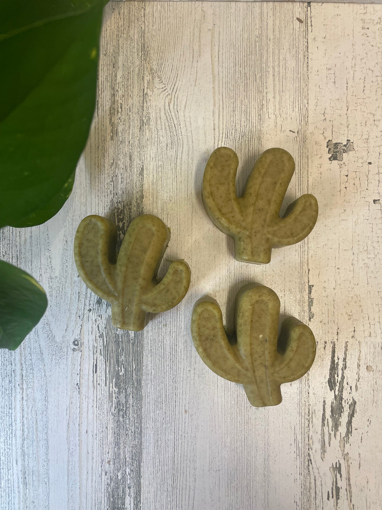 Arizona Decorative Soaps